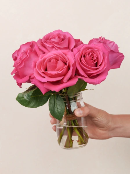 Petite Tilda - 7 Premium Pink Floyd Roses