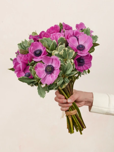 Veronique Bouquet | Purple Anemones | Ode à la Rose