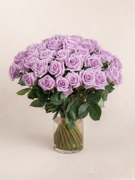phppQEhpW-68c197f197845.webp