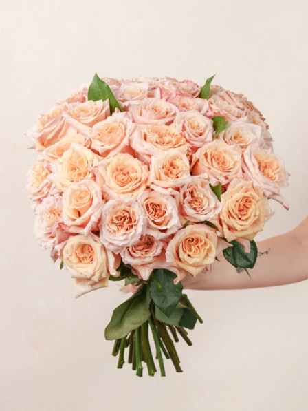 ピーチローズ peach rose 新品未開封 3個セット AC-