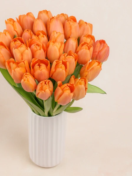 Charlotte | 30 Orange Tulips | Ode à la Rose