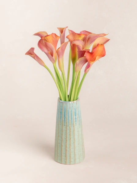 Georgette - 15 Stems of Orange Calla Lilies