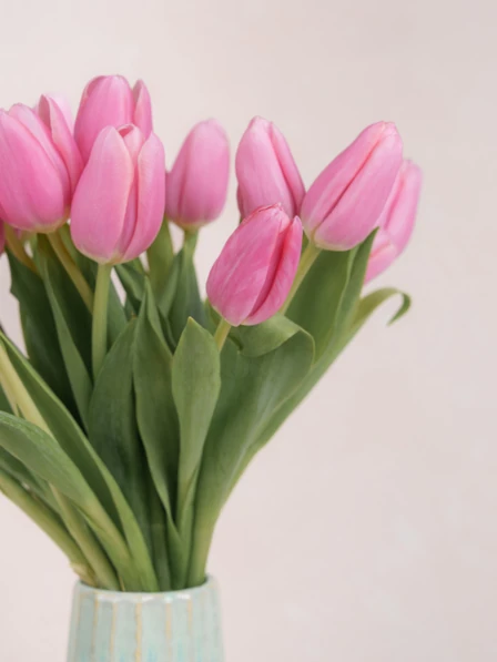 Danielle Bouquet with 20 Elegant Pink Tulips