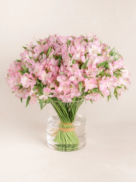 Grand Natalie - 60 Pink Alstroemeria Stems in Glass Vase