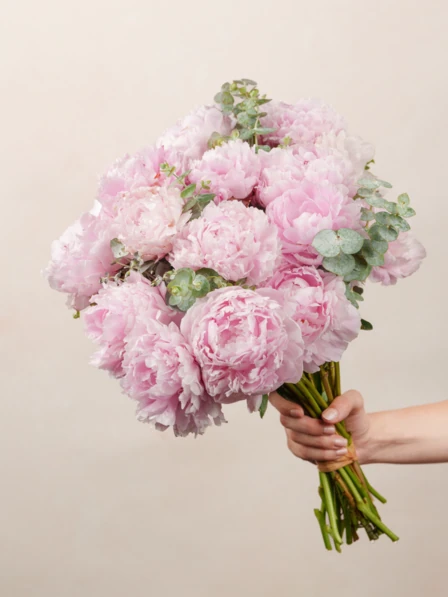 Bouquet of Primrose エッチング作品 phpzCPk5Z-68c2e20e3aa46.webp