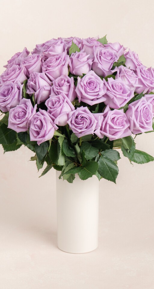 36 Purple Rose Bouquet Delivery | 3 Dozen Purple Roses | Ode à la Rose