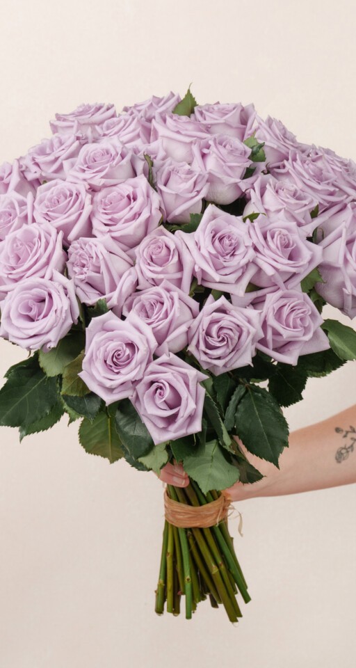 Dozen Violet Roses 36 Purple Rose Bouquet Delivery | 3 Dozen Purple Roses | Ode à la Rose