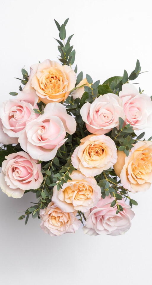 The Annette Bouquet - 12 Light Pink and Peach Roses