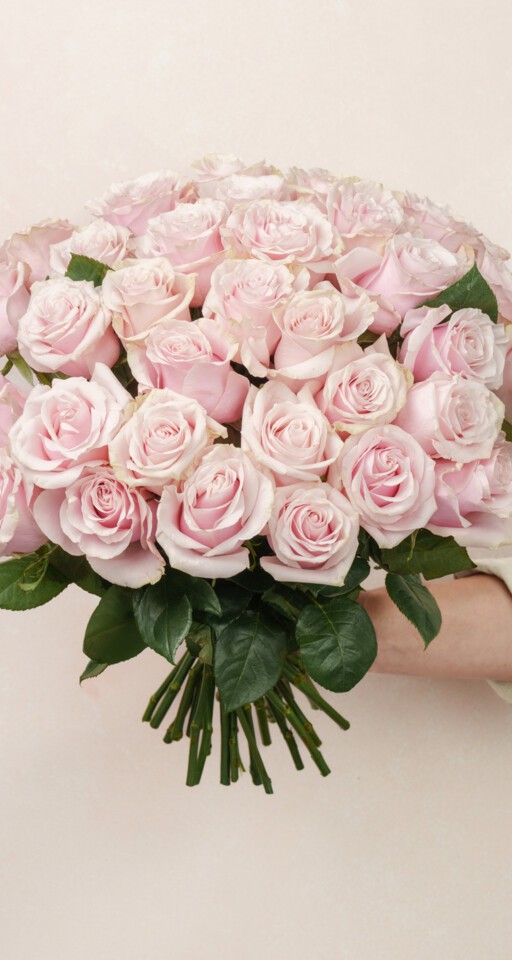 36 Pink Rose Bouquet Delivery | 3 Dozen Pink Roses | Ode à la Rose