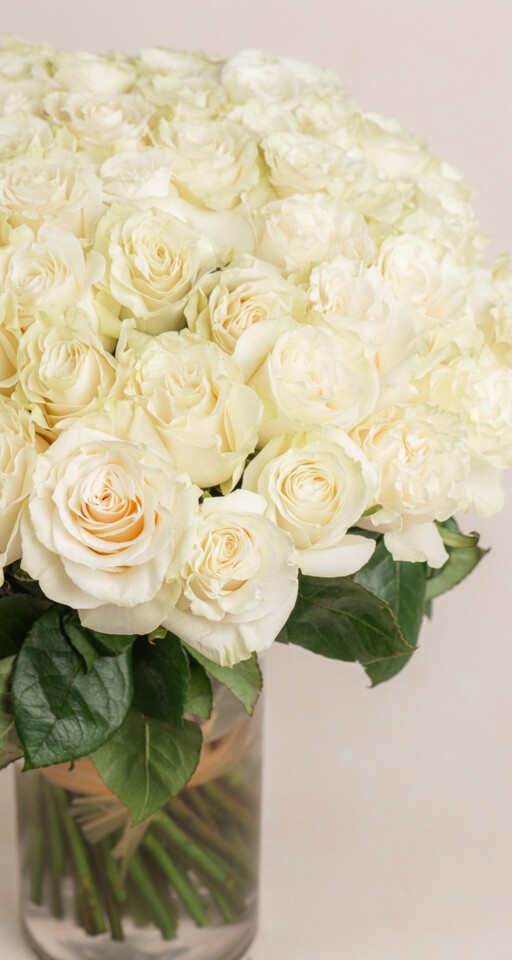 75 White Roses Grand Josephine - 75 Premium White Mondial Roses