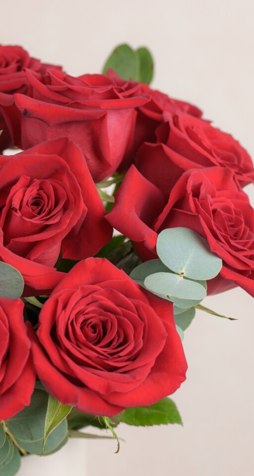 Amour - 12 Red Freedom Roses with Eucalyptus