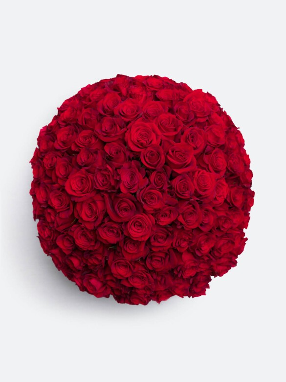 Top-down view of 100 red Freedom roses, showcasing the lush, flawless blooms and breathtaking beauty of this grand romantic bouquet.