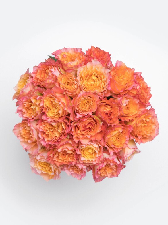 Top view of Soleil 24-rose bouquet featuring Free Spirit roses in bold orange tones with ruffled petals and a full, rounded shape.