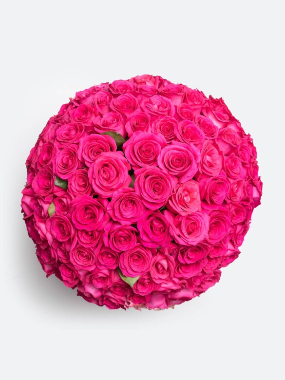 Stunning top view of 100 vibrant Pink Floyd roses, arranged tightly for a luxe, premium look. Perfect for Valentine’s Day or anniversary gifts.