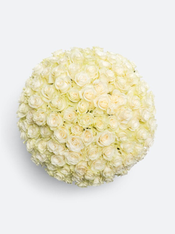 Top view of 100 Premium White Mondial Roses tightly arranged into a lush, round bouquet, an opulent display of floral elegance and abundance.