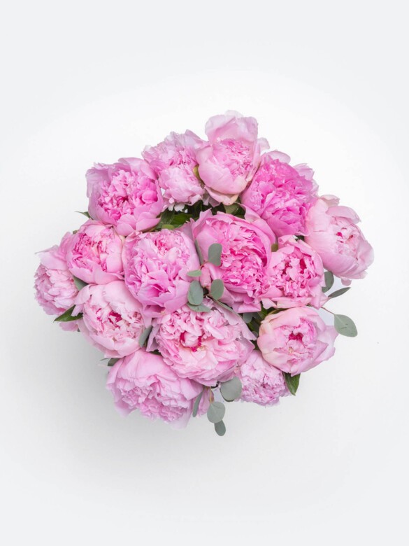 Top view of Sarah, a 15-stem pink peony bouquet with ruffled blooms and eucalyptus, a romantic gift for birthdays, anniversaries, or spring.