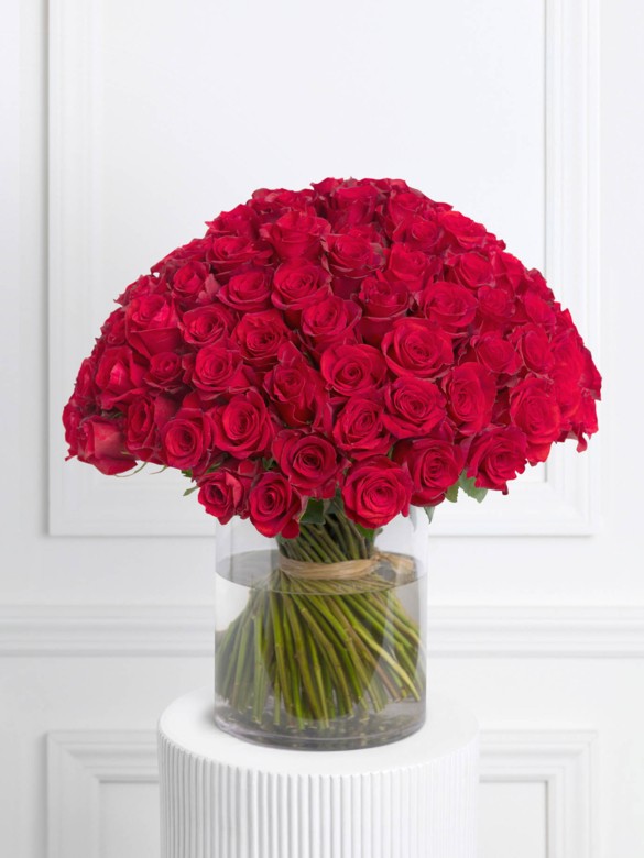 100 Red Roses Hand-crafted Bouquet in Miami Beach, FL