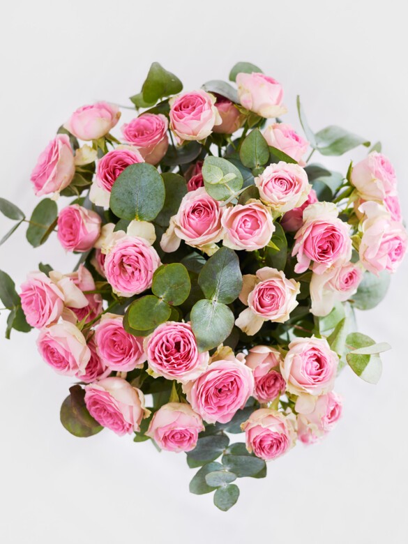 Top-down view of pink spray roses and eucalyptus, showcasing delicate blooms and soft greenery, perfect for a thoughtful, everyday floral touch.