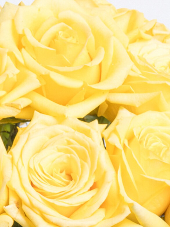 Each yellow rose is selected for its vibrant hue and flawless bloom, showcasing the expert craftsmanship behind this premium-quality floral design.