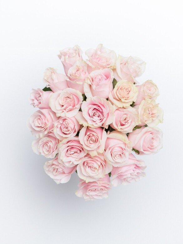 Top view of Brigitte bouquet with 24 blush Pink Mondial roses, densely arranged to highlight their soft swirl petals and pastel color tones.