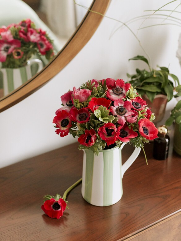 Anemone