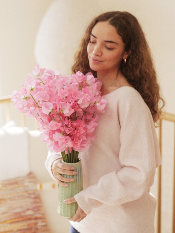 Pink japanese sweet pea