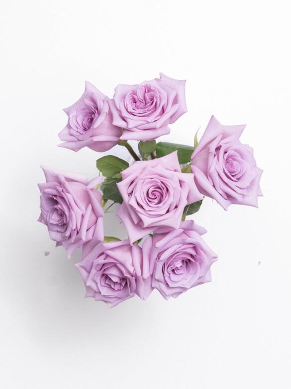 Top view of Petite Adrienne featuring 7 Premium Ocean Song Roses in lavender tones, arranged in a small glass vase for romantic gestures.