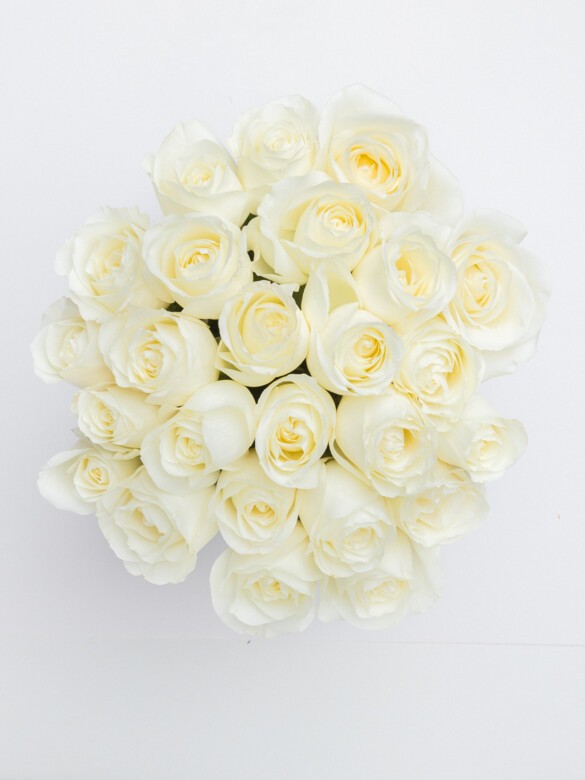 Top view of 24 White Mondial roses arranged in a neat, rounded bouquet. A simple and elegant floral gift for sympathy or thoughtful gestures.