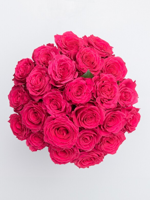 Top view of 24 lush Pink Floyd roses in full bloom, showcasing rich magenta tones and layered petals in a dense, rounded floral arrangement.
