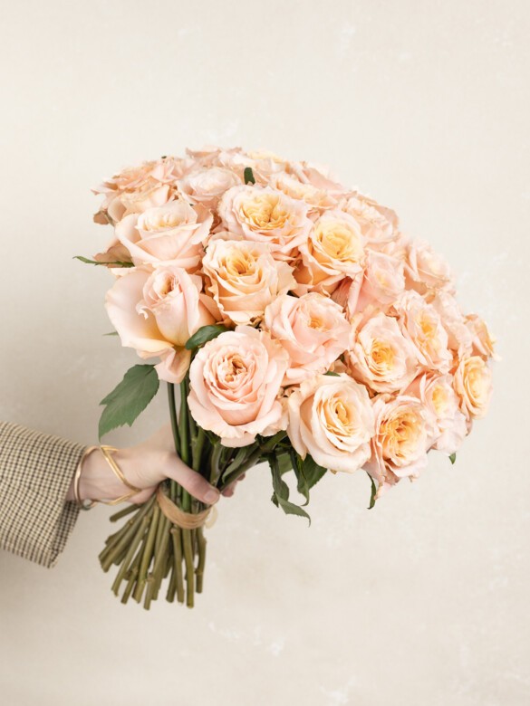 Hand holding a lush 24-stem Lolita bouquet filled with peachy-orange tea roses, showcasing their delicate petals and warm color, ideal for a thoughtful gift or romantic surprise.