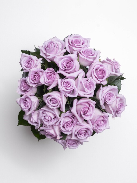 Top view of a full 24-stem Ocean Song rose bouquet, featuring lush lavender petals and a graceful, symmetrical arrangement.