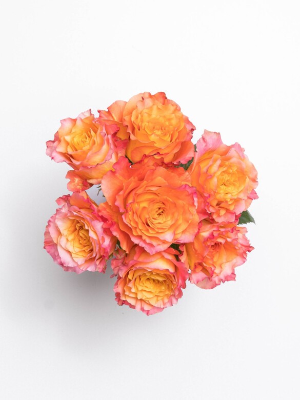 Top view of Petite Soleil featuring 7 Premium Free Spirit Roses in vivid orange tones, highlighting their ruffled petals and premium quality.