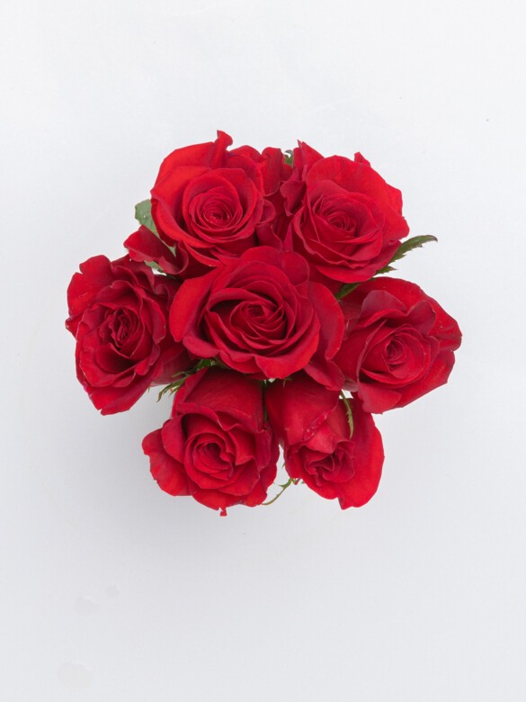 Top view of Petit Amour arrangement featuring 7 vivid Red Freedom roses. A bold yet tender gesture in a compact, charming rose bouquet.