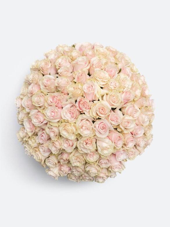 Top view of Grand Brigitte with 100 Pink Mondial roses in full bloom. A lush, rounded composition that radiates elegance from every angle.