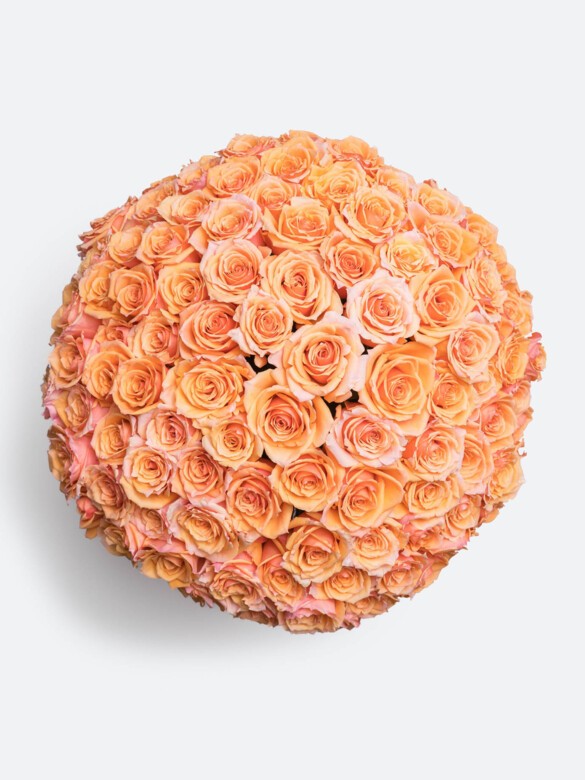 Top view of 100 peach Lolita roses arranged in a perfect dome, offering unmatched fullness and luxury for high-end floral gifting occasions.