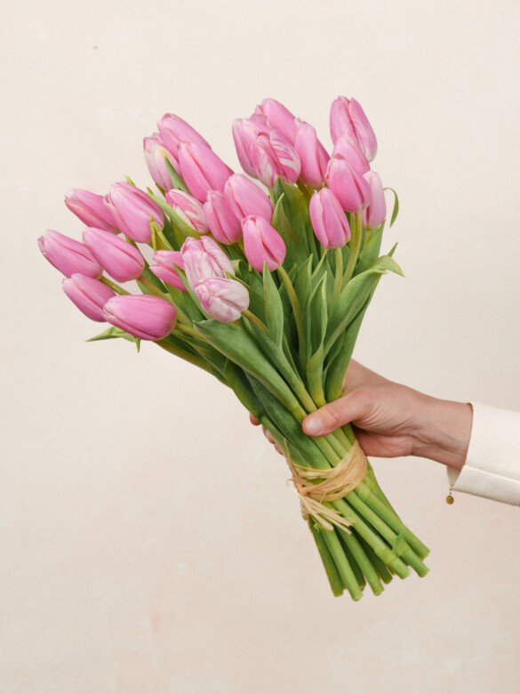 A full 30-stem bouquet of vibrant pink tulips, showcasing smooth stems and lush green leaves flaring out naturally.