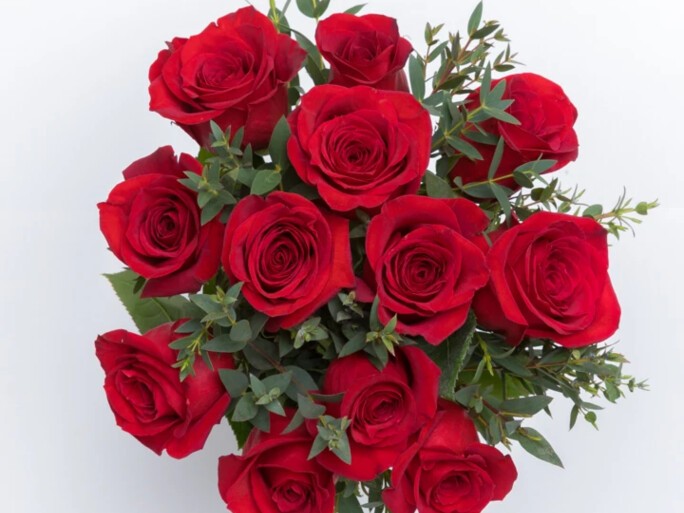 Amour - 12 Red Freedom Roses with Eucalyptus