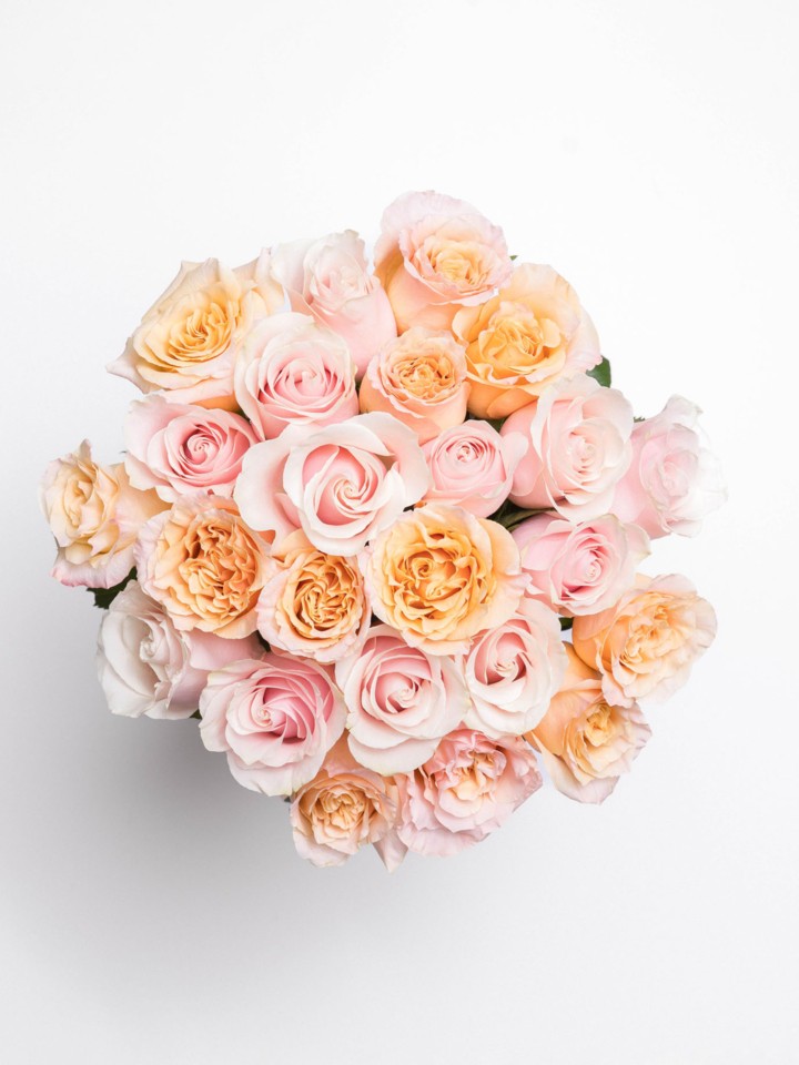 The Annette Bouquet | 24 Light Pink and Peach Rose Bouquet | Ode à la Rose