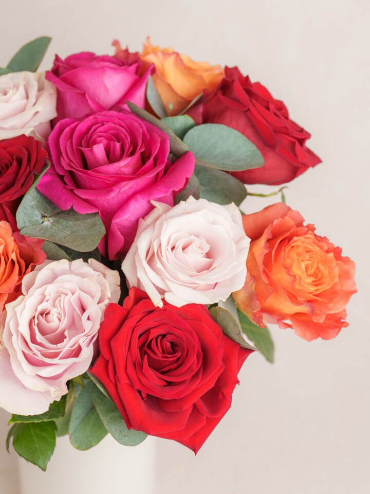 The Aline Bouquet (Small) - 12 Roses in Vibrant Shades