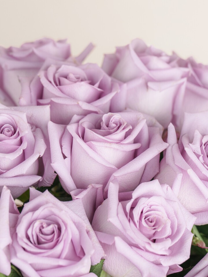 Dozen Violet Roses 36 Purple Rose Bouquet Delivery | 3 Dozen Purple Roses | Ode à la Rose