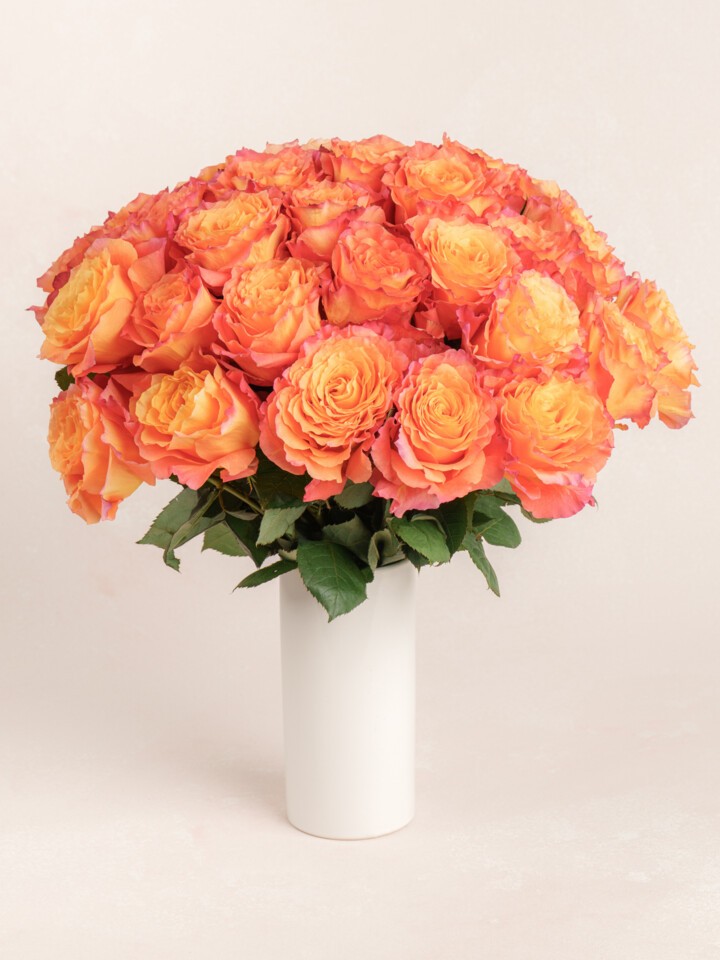 36 Orange Rose Bouquet Delivery | 3 Dozen Orange Roses | Ode à la Rose