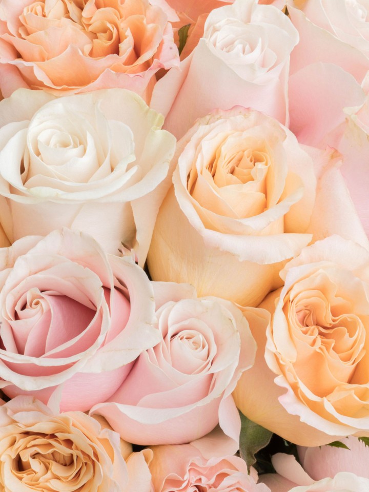 The Annette Bouquet | 24 Light Pink and Peach Rose Bouquet | Ode à la Rose