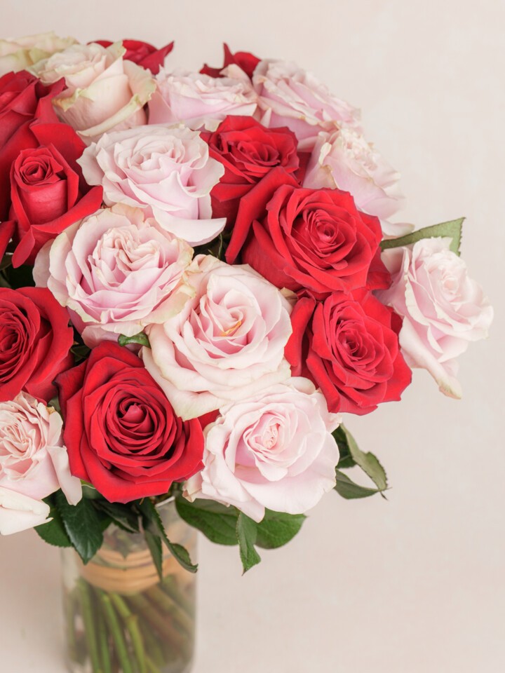 Red Pocock's Roses Red and Pink Rose Bouquet | 2 dozen Red & Pink Roses | Ode à la Rose