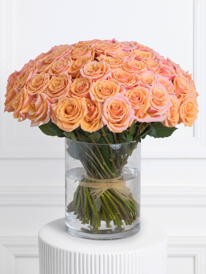Grand Lolita - 75 Premium Peach Lolita Roses