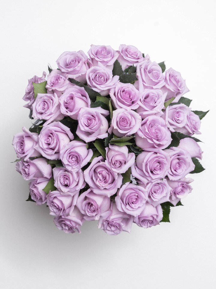 36 Purple Rose Bouquet Delivery | 3 Dozen Purple Roses | Ode à la Rose
