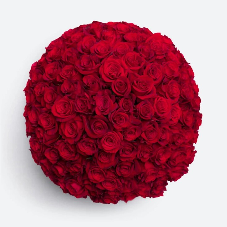 Grand Amour with 100 red Freedom roses in a glass vase, perfect for big romantic gesture. Vase included.