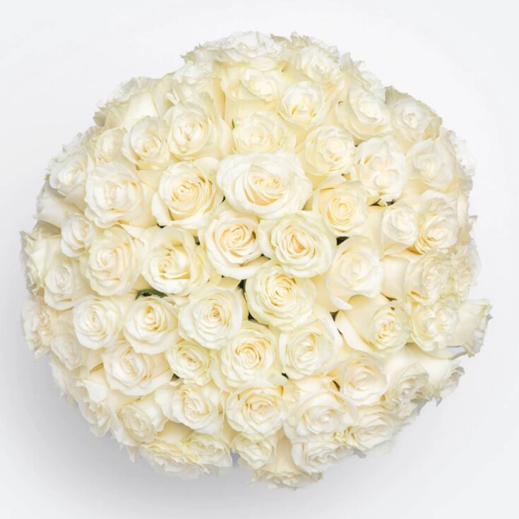 Top view of Grand Josephine bouquet with 75 luxurious White Mondial Roses.