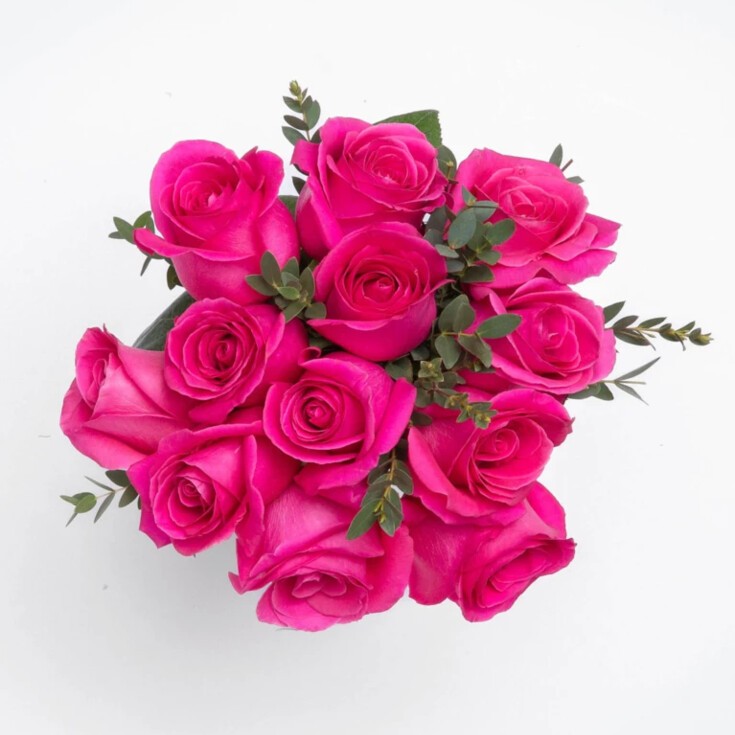 Top view of 12 hot pink Pink Floyd roses with eucalyptus.