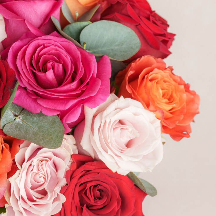 Roses, Peonies, Tulips and all other flowers available in Washington, D.C.