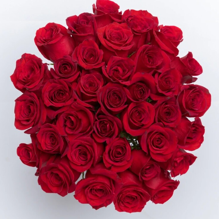 Top view of Amour, a 36-stem  red rose bouquet featuring premium Freedom roses.